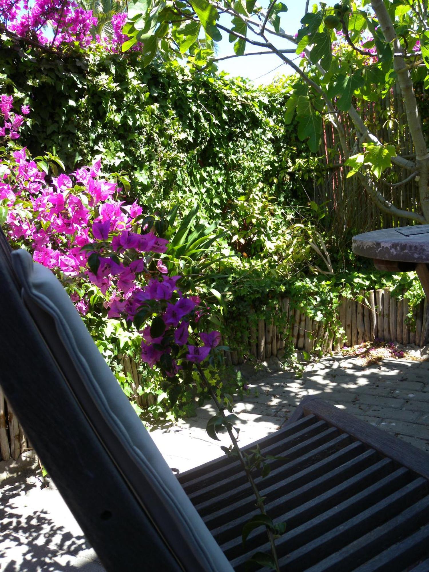 Capetown 4U Guesthouse Bloubergstrand Exterior foto